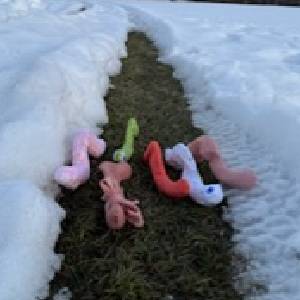 Six fabric worms crawling across the snow, leaving a large trail behind
